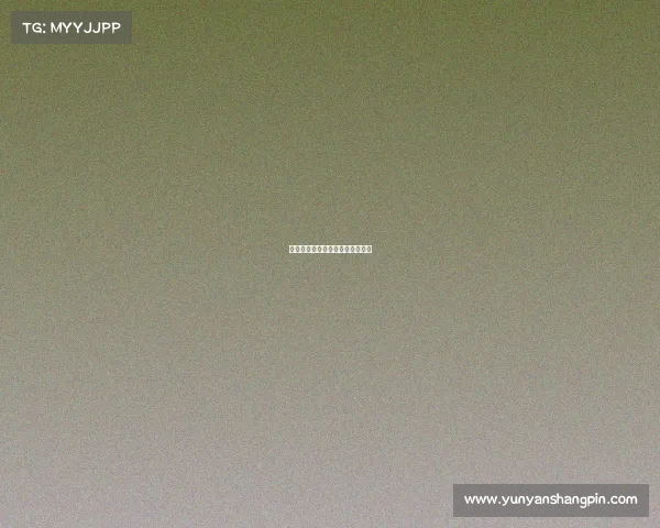 骑士征战征程赛事行程全程回忆录