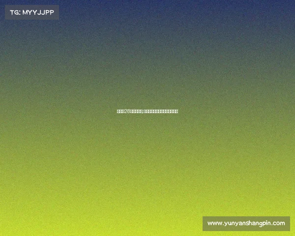 全运会28号女排赛事,全运会女排第二阶段赛程时间表